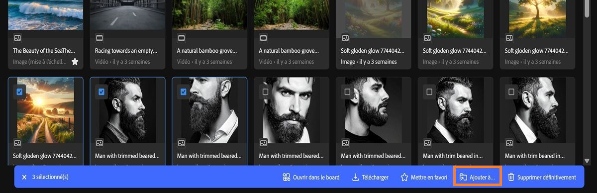 L’onglet Historique des générations dans Firefly affiche plusieurs ressources sélectionnées et un menu de barre d’outils.