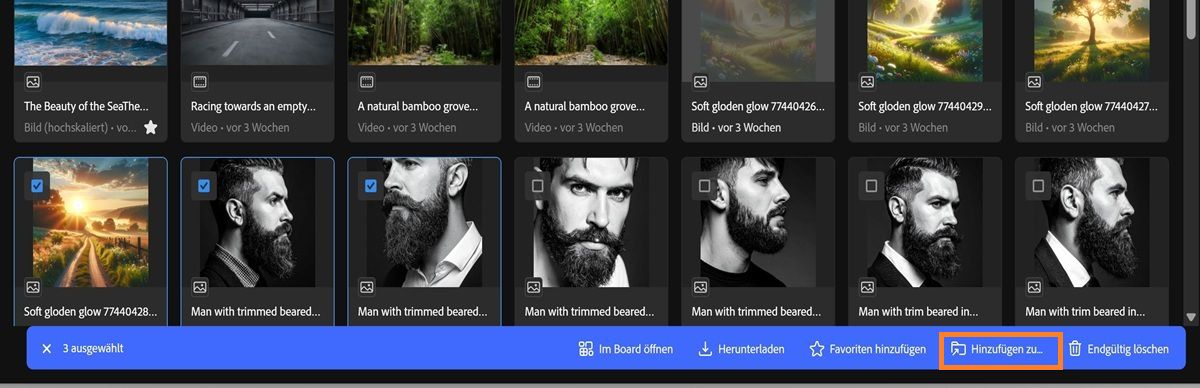 Die Registerkarte „Generierungsverlauf&quot; in Firefly zeigt mehrere ausgewählte Assets und ein Symbolleistenmenü an.