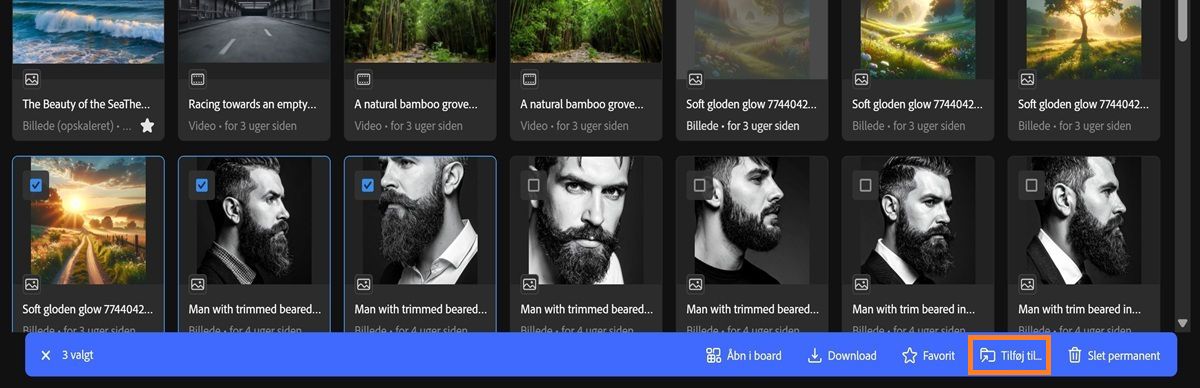 Fanen Genereringshistorik i Firefly viser flere valgte aktiver og en værktøjslinjemenu.