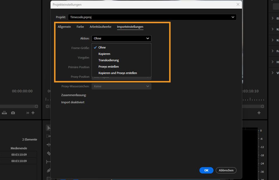 Das Dialogfeld „Importeinstellungen“, in dem du Import- und Proxy-Einstellungen für dein Projekt festlegen kannst.