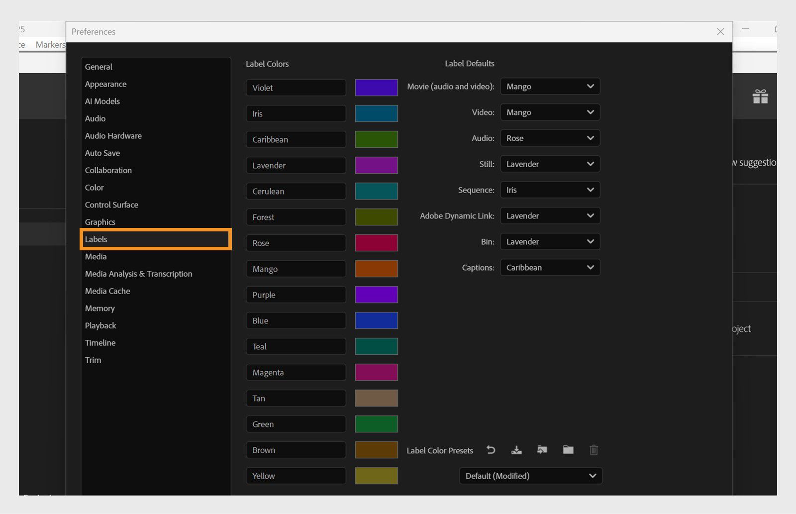 El panel Label del cuadro de diálogo Preferencias muestra varias opciones para configurar las preferencias de etiquetas.