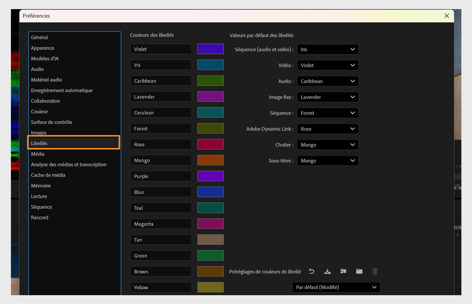 Le panneau Libellé de la boîte de dialogue Préférences affiche diverses options pour définir les préférences des libellés.