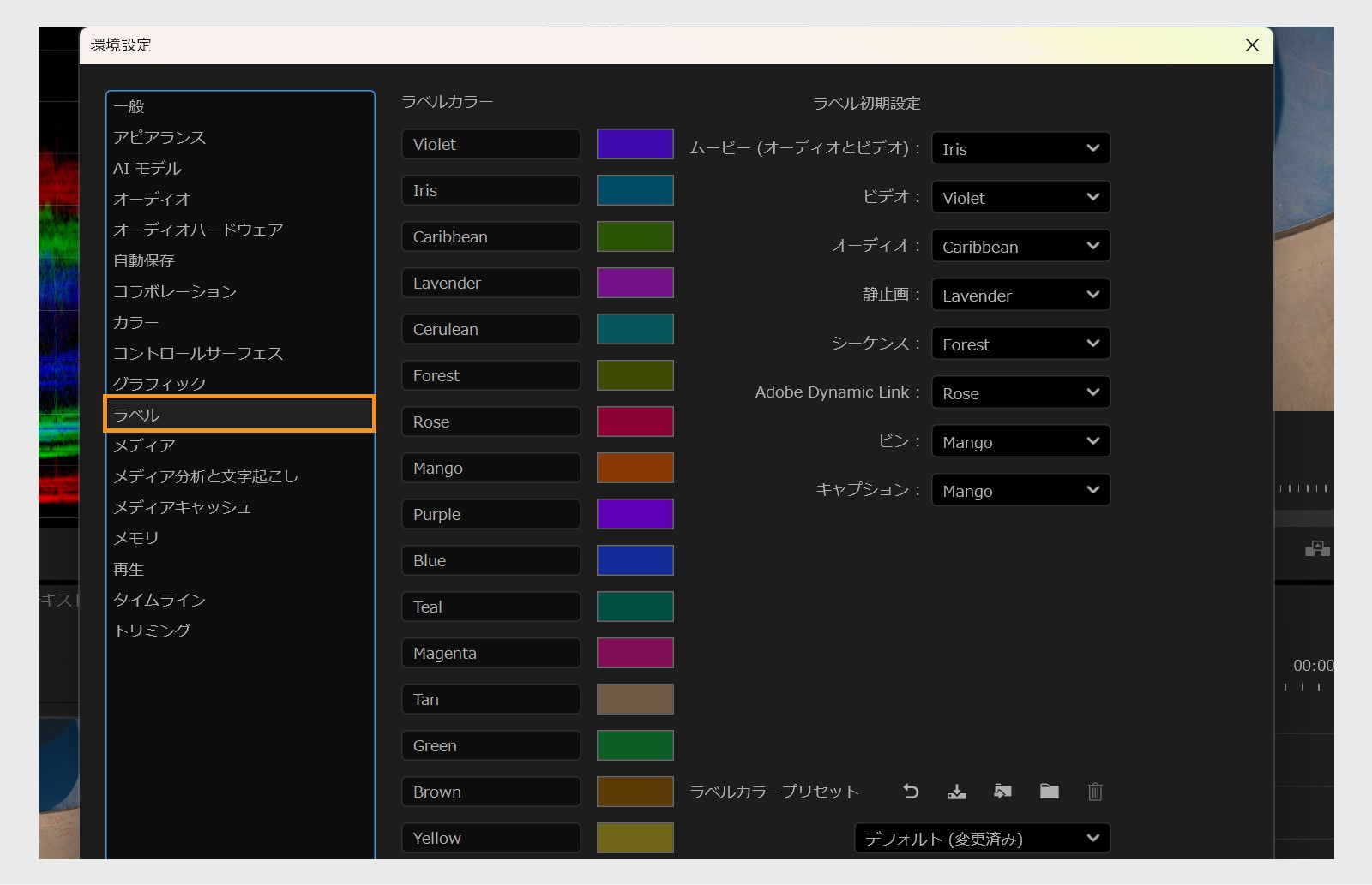 環境設定ダイアログボックスのラベルパネルには、ラベル環境設定を指定するための様々なオプションが表示されます。