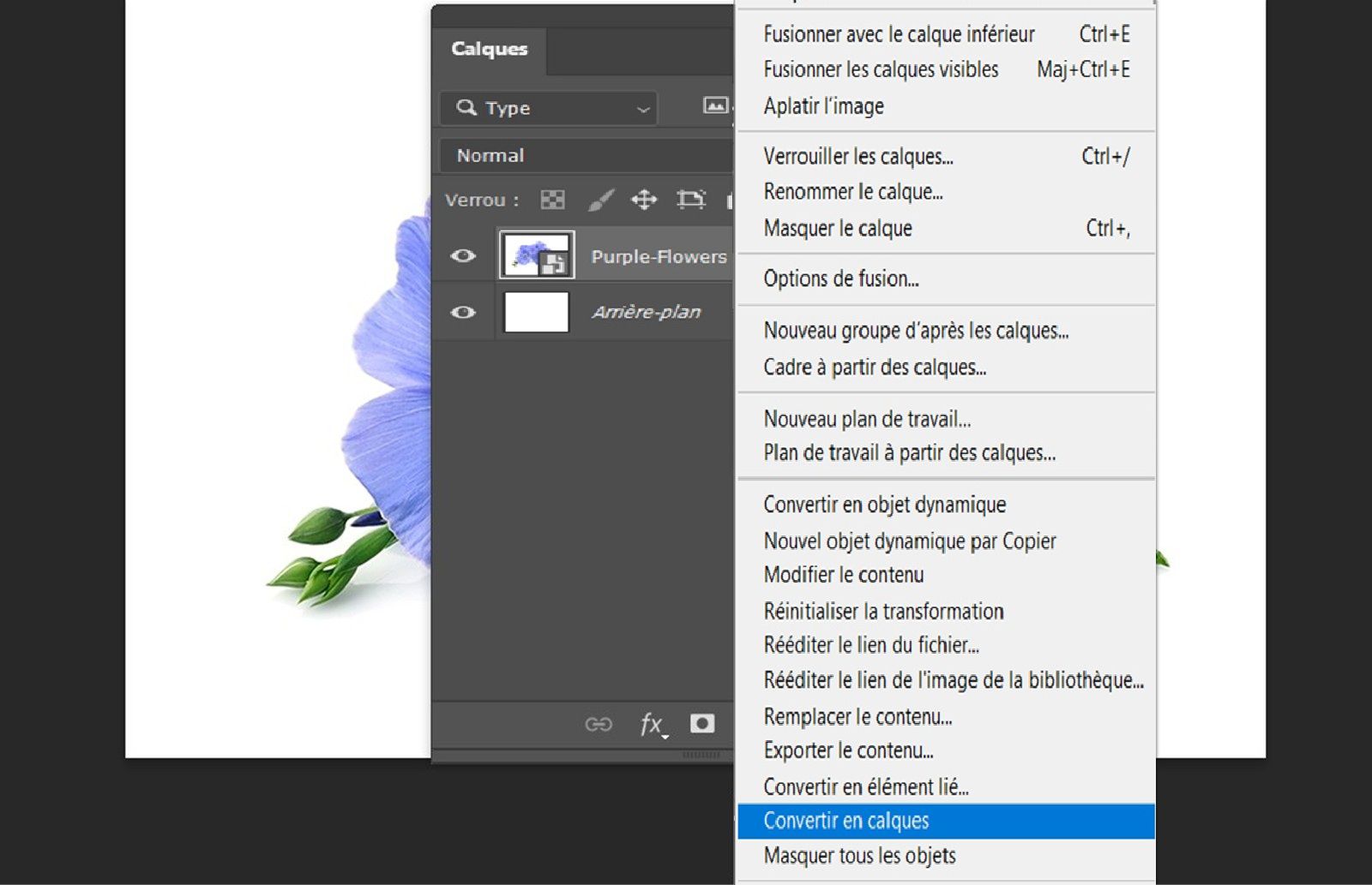 Le panneau Calques est ouvert et un calque Objet dynamique est sélectionné. Un menu contextuel s’affiche avec l’option Convertir en calques mise en surbrillance.