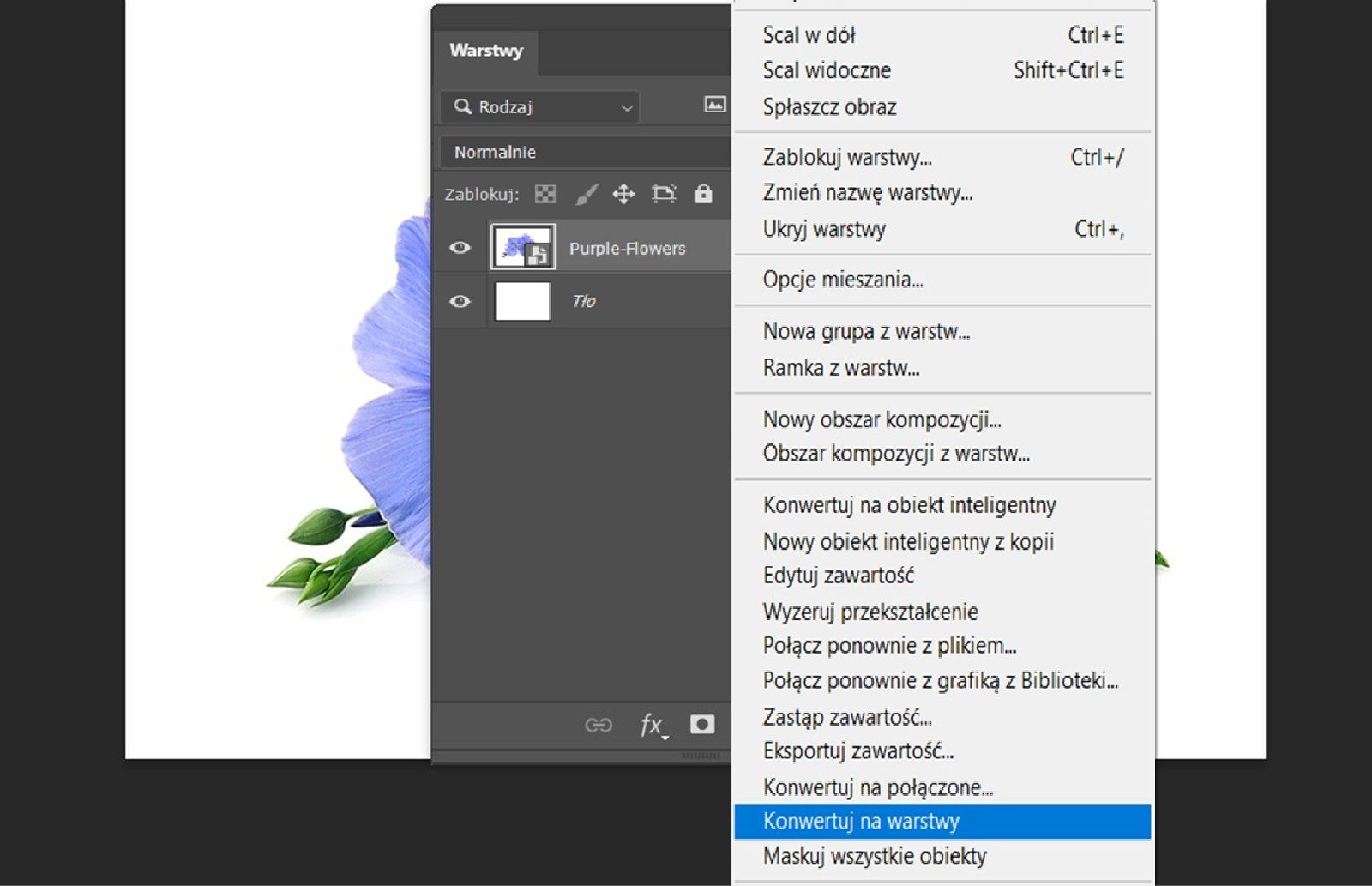 Otwarty panel Warstwy, zaznaczona warstwa obiektu inteligentnego.Wyświetlane menu kontekstowe z wyróżnioną opcją Konwertuj na warstwy.