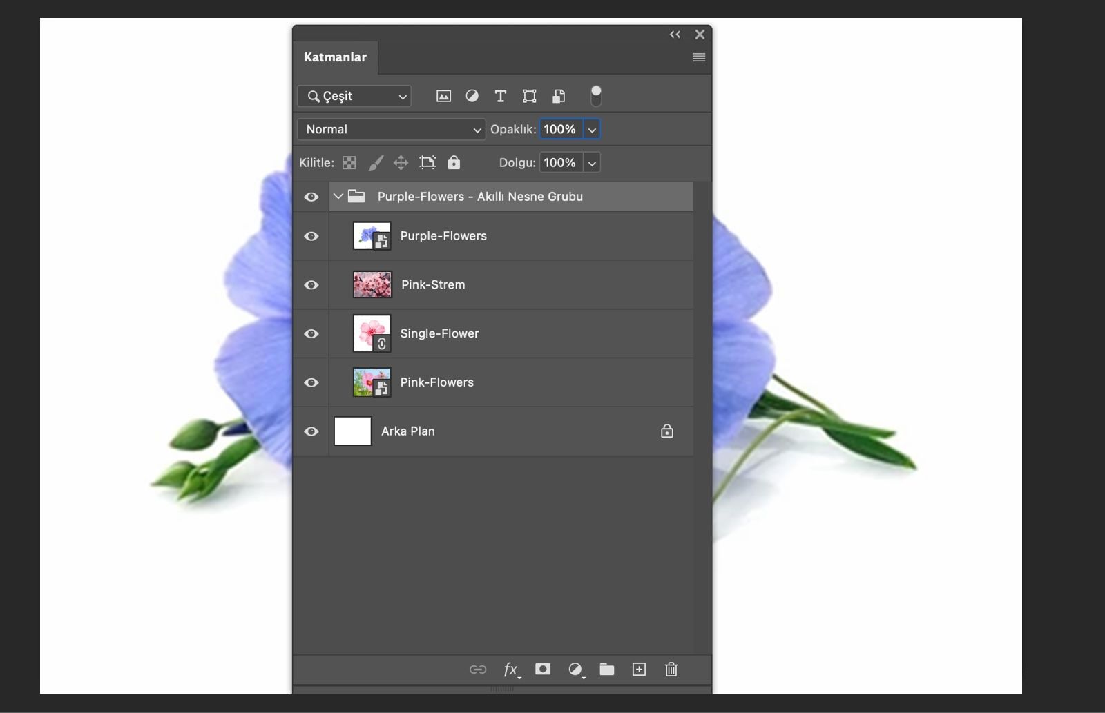 Katmanlar paneli açık ve bir Akıllı Nesne, katman grubuna dönüştürülmüş. Orijinal katmanlar grup içinde görünür.