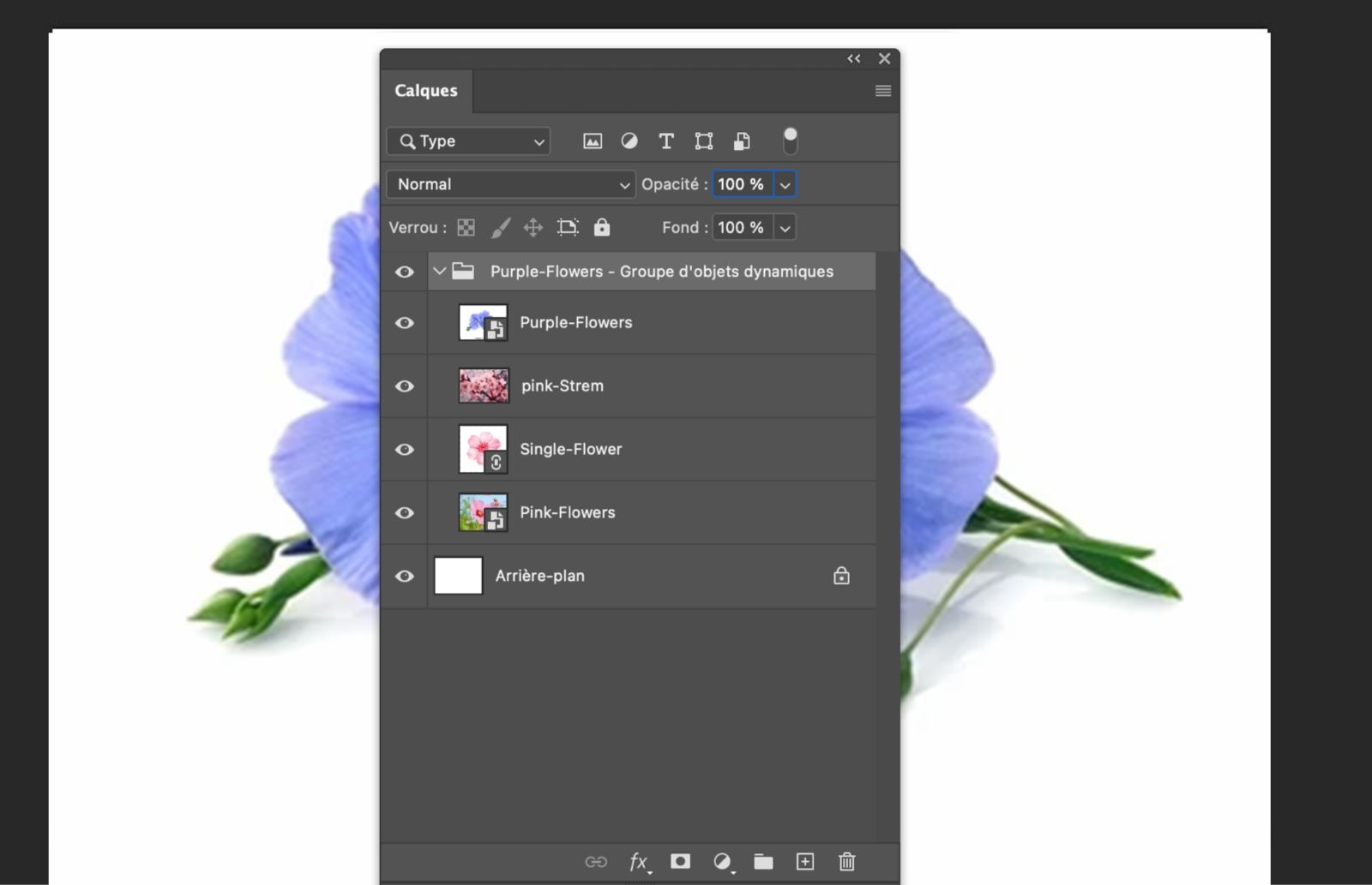 Le panneau Calques est ouvert et un objet dynamique est converti en groupe de calques. Les calques d’origine apparaissent dans le groupe.