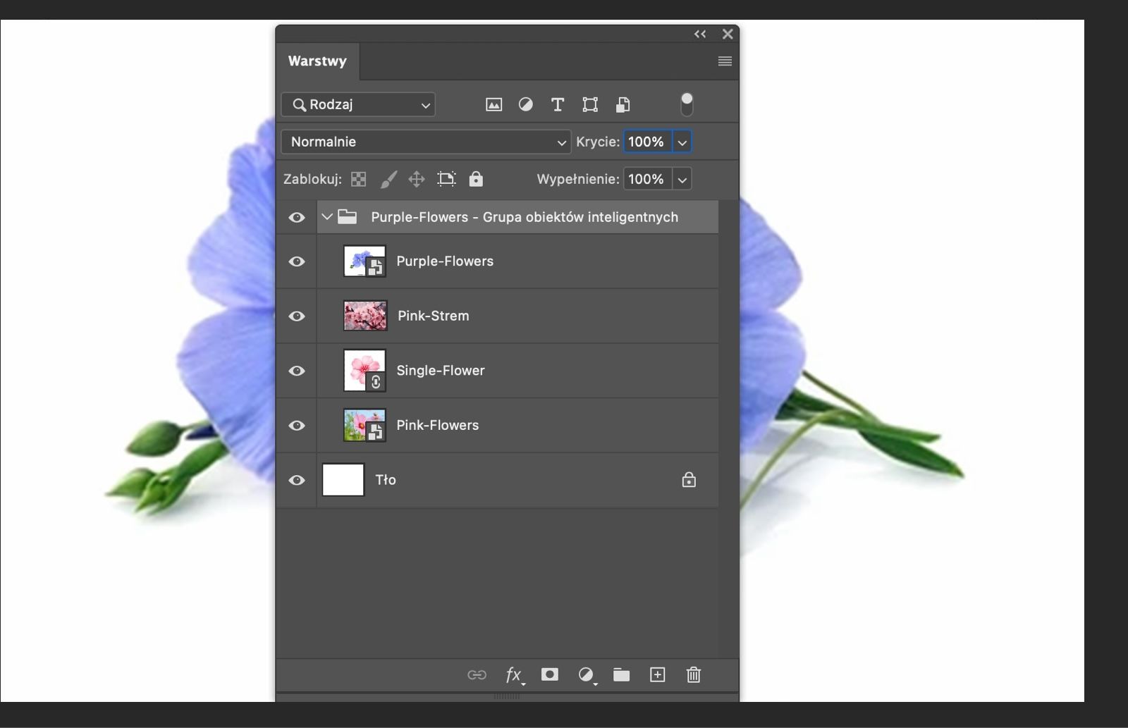 Otwarty panel Warstwy z obiektem inteligentnym przekonwertowanym na grupę warstw.Oryginalne warstwy wewnątrz grupy.