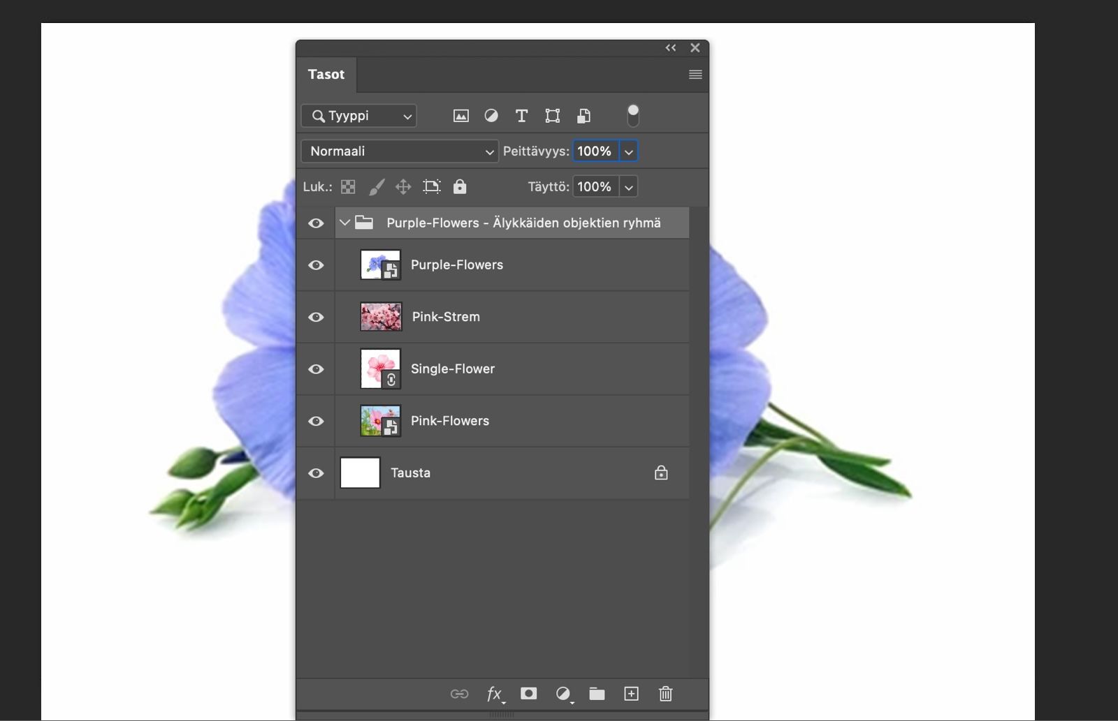 Tasot-paneeli on avoinna ja älykäs objekti on muunnettu tasoryhmäksi.Alkuperäiset tasot näkyvät ryhmän sisällä.