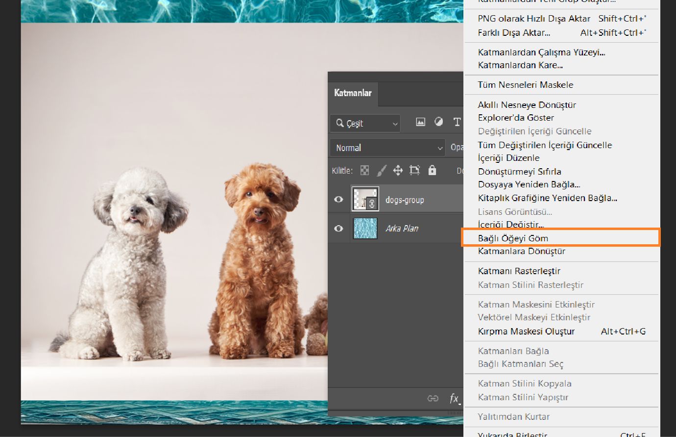Katmanlar panelinde seçili bir bağlı Akıllı Nesne katmanı gösteriliyor ve menüde Bağlı Öğeyi Göm seçeneği vurgulanmış.