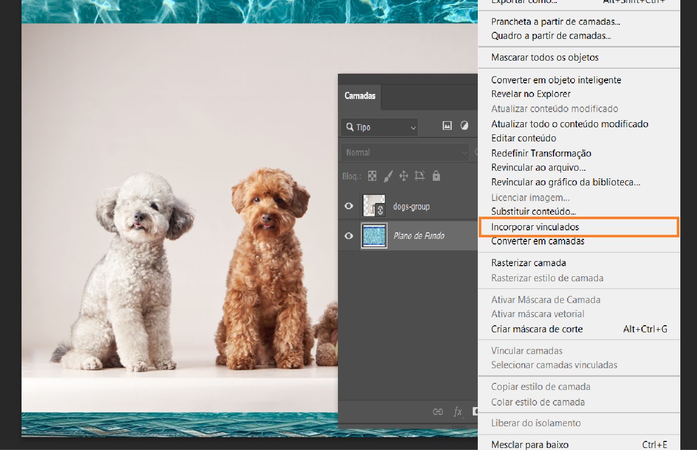 O painel Camadas mostra uma camada de Objeto Inteligente vinculada selecionada com a opção Incorporar Vinculado destacada no menu.