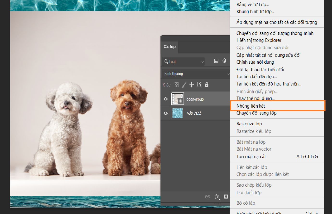 Bảng Lớp hiển thị lớp Đối tượng thông minh được liên kết được chọn với tùy chọn Nhúng liên kết được làm nổi bật trong menu.