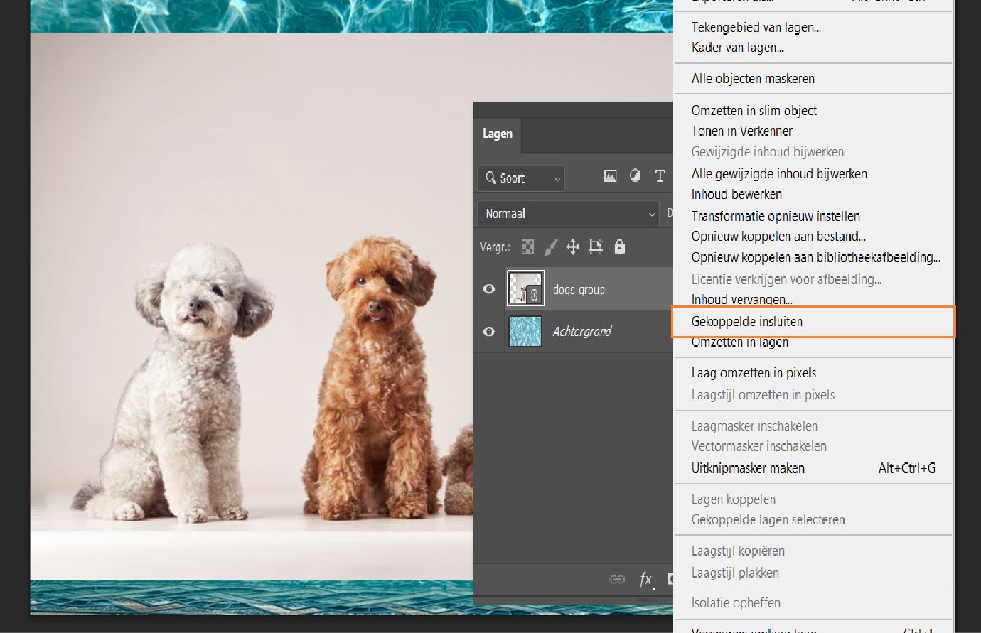 Het Lagen-deelvenster toont een geselecteerde gekoppelde Slimme Object-laag met de optie Koppeling insluiten gemarkeerd in het menu.