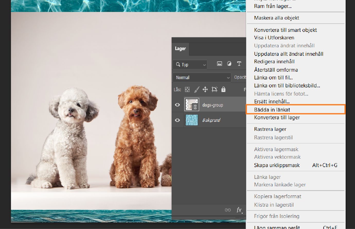 Layers panel visar ett markerat länkat Smart Object-lager med alternativet Bädda in länkad markerat i menyn.
