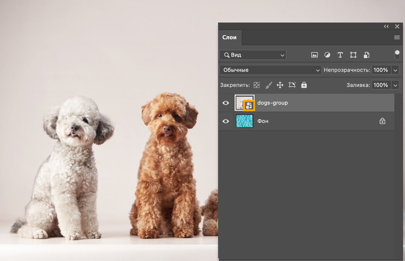 На панели «Слои» отображается тот же выделенный слой без значка ссылки, подтверждая, что теперь это встроенный смарт-объект.