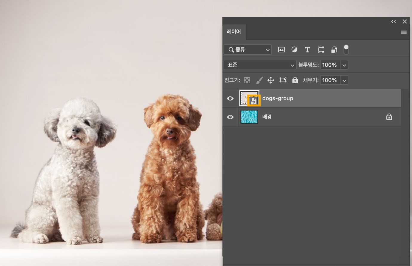 레이어 패널에 링크 아이콘이 없는 동일한 선택된 레이어가 표시되어 이제 포함된 스마트 오브젝트가 되었음을 확인할 수 있습니다.