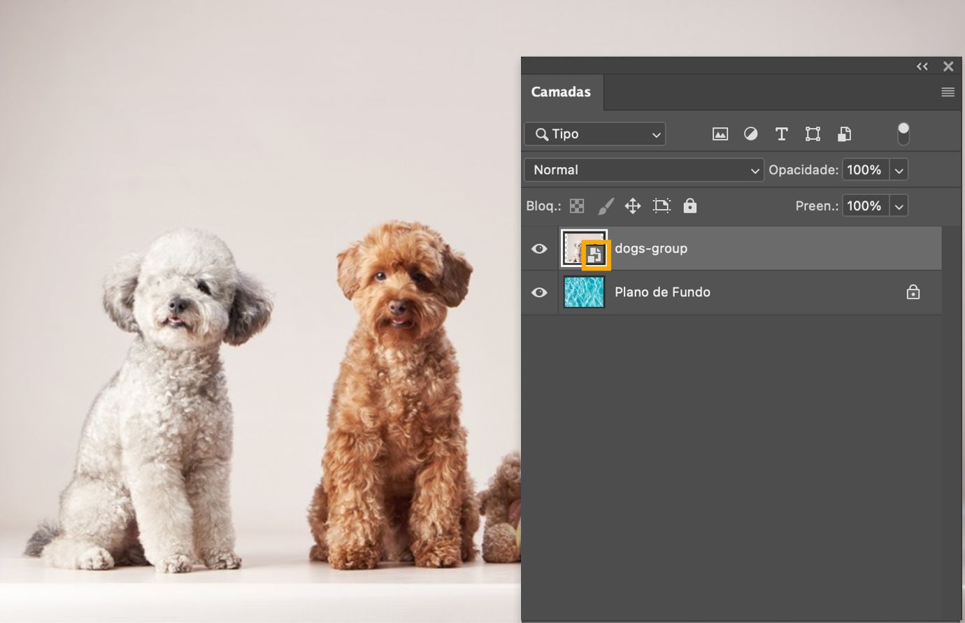 O painel Camadas mostra a mesma camada selecionada sem um ícone de link, confirmando que agora é um Objeto Inteligente Incorporado.
