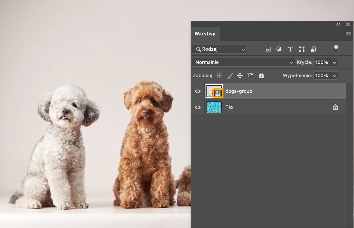 Panel Warstwy z tę samą zaznaczoną warstwą bez ikony łącza, co potwierdza, że jest to teraz Osadzony obiekt inteligentny.