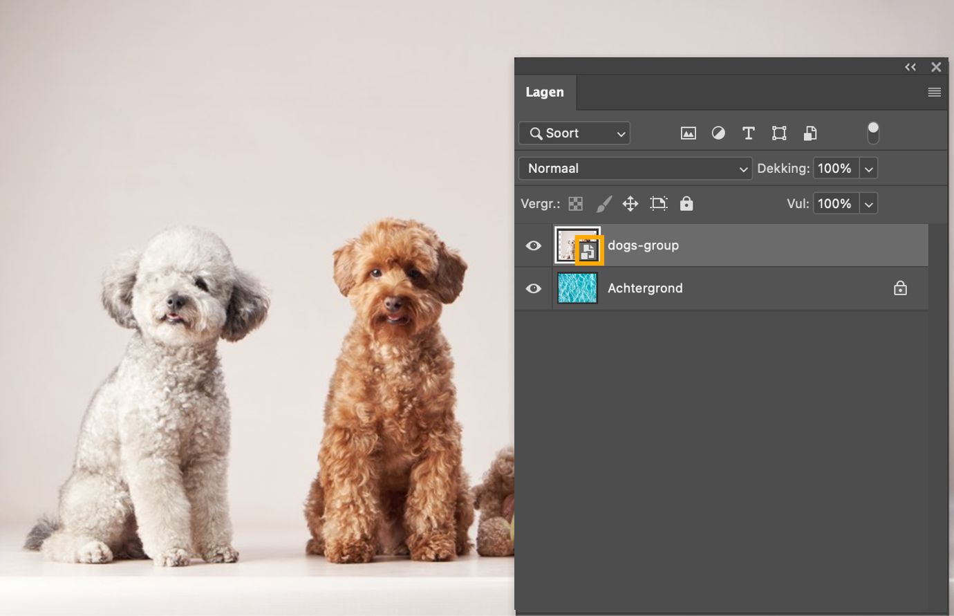 Het Lagen-deelvenster toont dezelfde geselecteerde laag zonder koppelingspictogram, wat bevestigt dat het nu een Ingesloten Slim Object is.