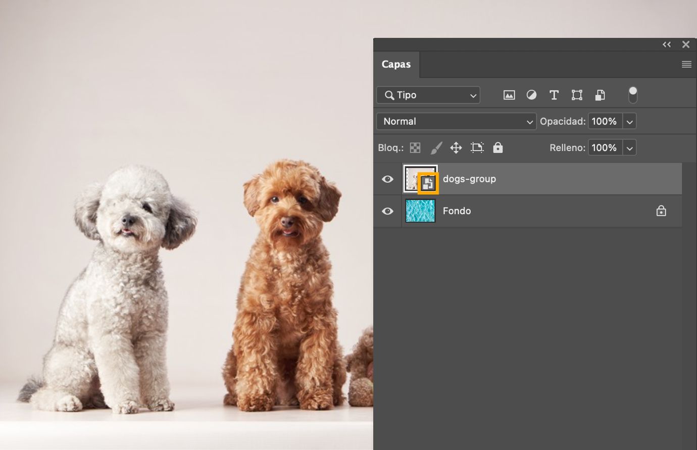 El panel Layers muestra la misma capa seleccionada sin un icono de vínculo, confirmando que ahora es un Objeto Inteligente incrustado.