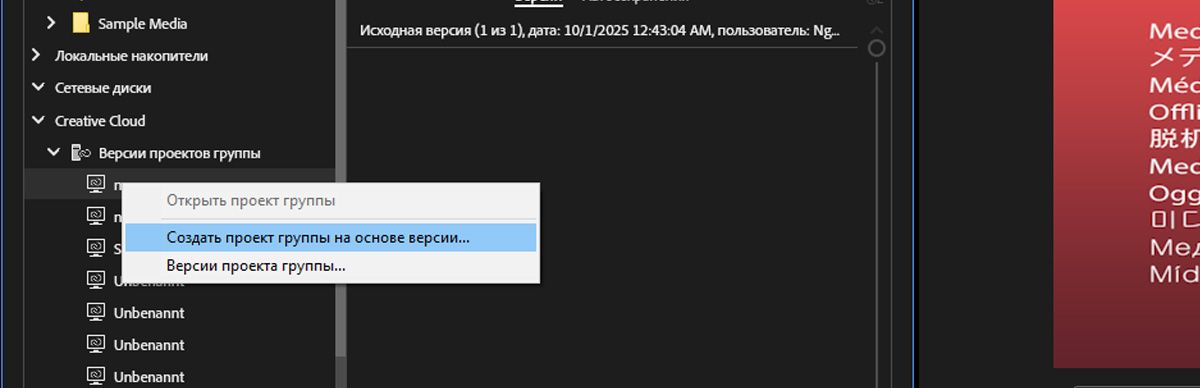 В настоящее время открыт браузер медиаданных, в котором с помощью вертикального ползунка можно перейти к последней версии проекта, что позволяет просматривать все доступные версии.
