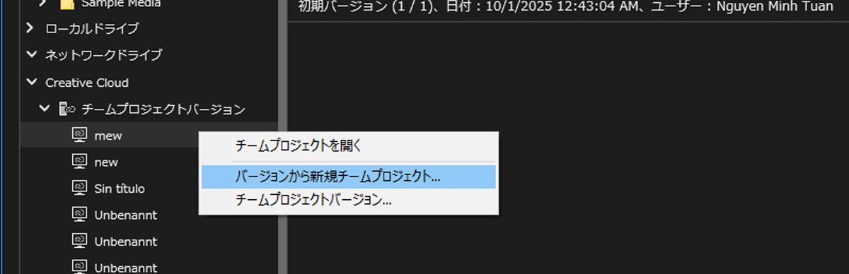 現在、メディアブラウザーが開いており、垂直スライダーを使用してプロジェクトの最新バージョンへのナビゲーションが設定されているので、使用可能なすべてのバージョンを参照できます。