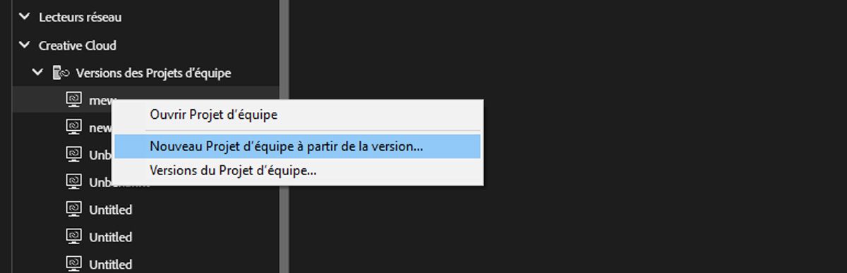 L’Explorateur de médias est actuellement ouvert, avec la navigation définie sur la dernière version du projet à l’aide du curseur vertical, qui vous permet de parcourir toutes les versions disponibles.