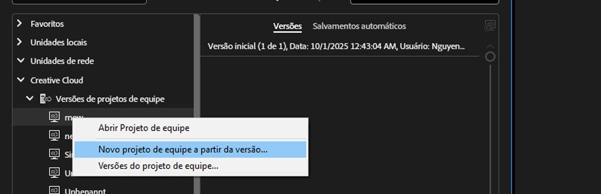 O “Navegador de mídia” está aberto, com a navegação definida como a versão mais recente do projeto, usando o controle deslizante vertical da versão, que permite navegar por todas as versões disponíveis.