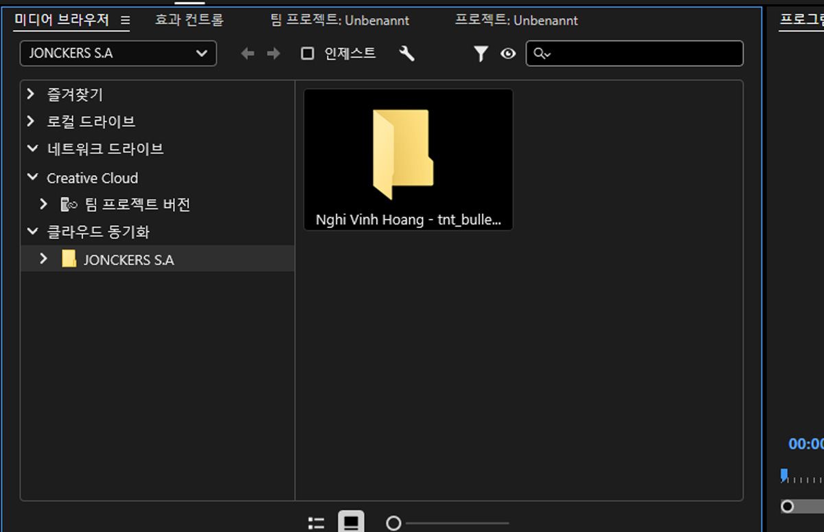 미디어 브라우저 패널이 열려 있고 미디어 파일을 가져오기 위한 옵션이 있습니다.