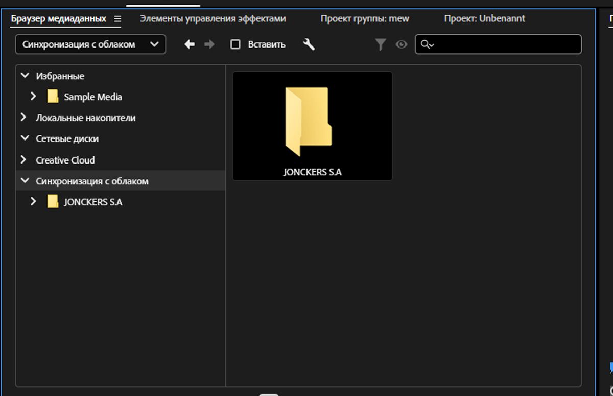 Панель «Браузер медиаданных» открыта для просмотра и имеет возможность импорта медиафайлов.