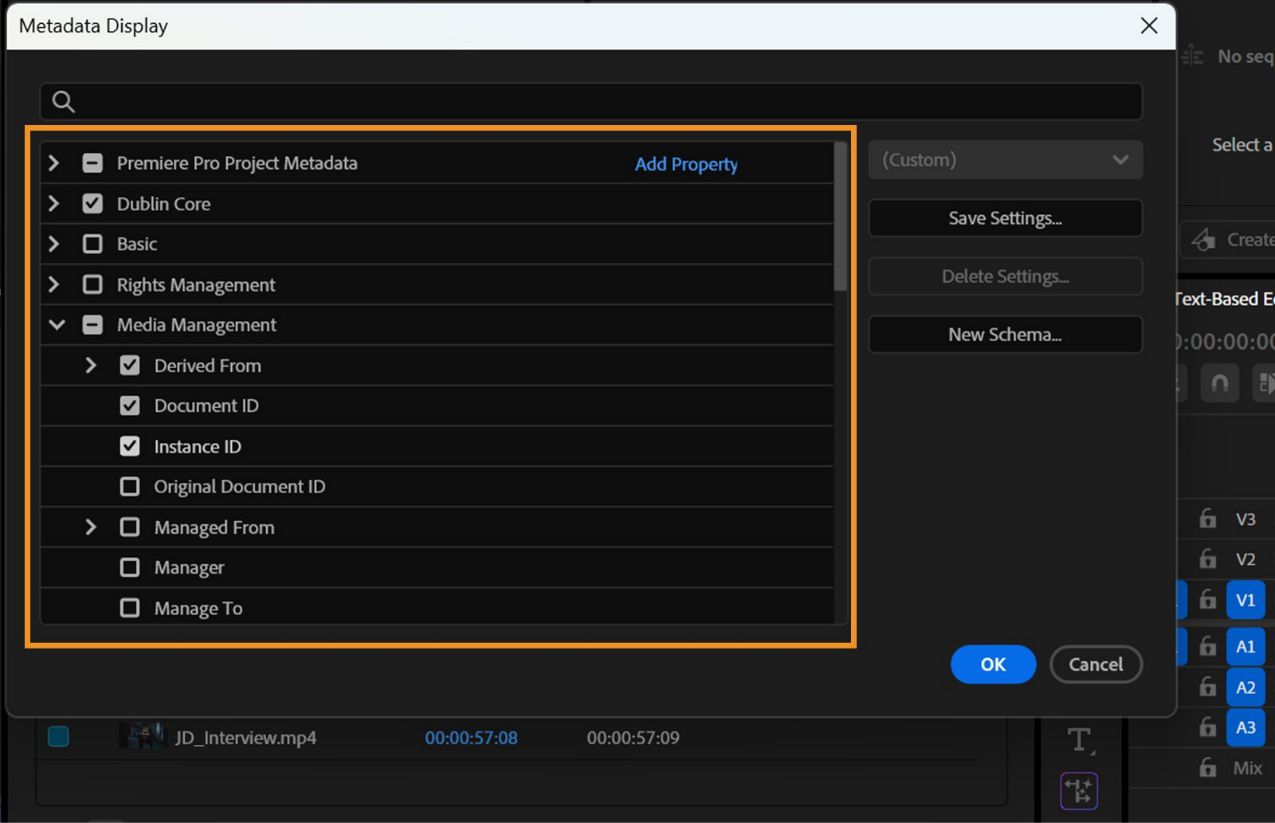 La Visualización de metadatos muestra varios esquemas y columnas de metadatos para personalizar las columnas de la vista de lista en el panel Proyecto.