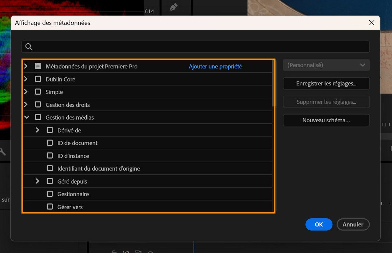 L’affichage des métadonnées présente divers schémas et colonnes de métadonnées pour personnaliser les colonnes du mode Liste dans le panneau Projet.