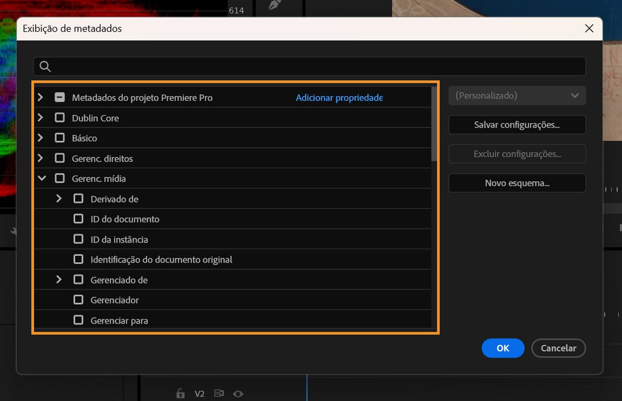 A Exibição de Metadados mostra vários esquemas e colunas de metadados para personalizar as colunas da Exibição em Lista no painel Projeto.
