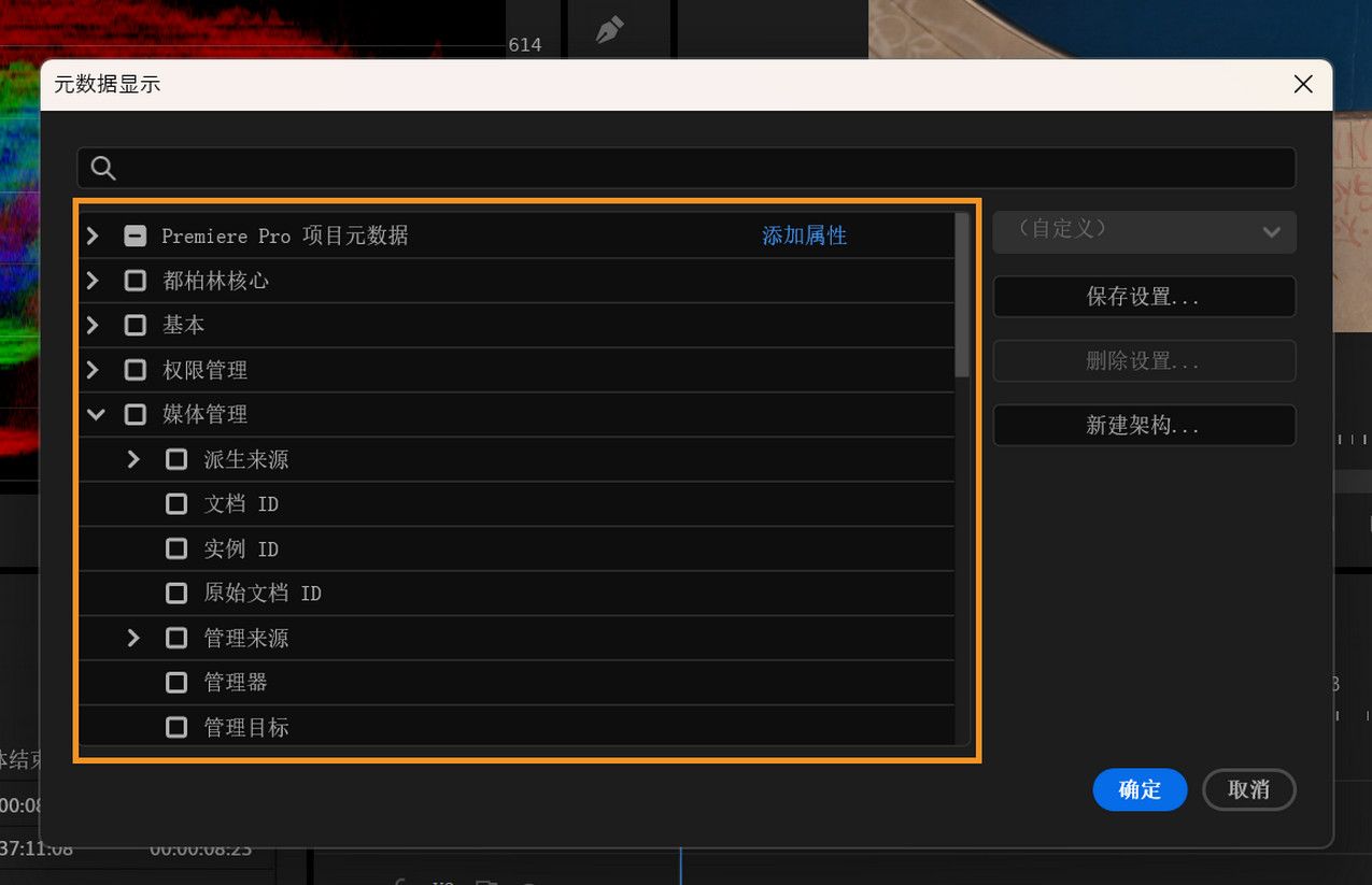 元数据显示提供了多种架构和元数据列，用于自定义项目面板中的列表视图列。
