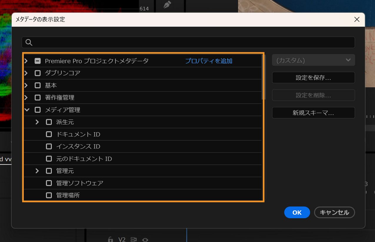 メタデータの表示には、プロジェクトパネルのリスト表示する項目をカスタマイズするための様々なスキーマとメタデータ項目が表示されます。