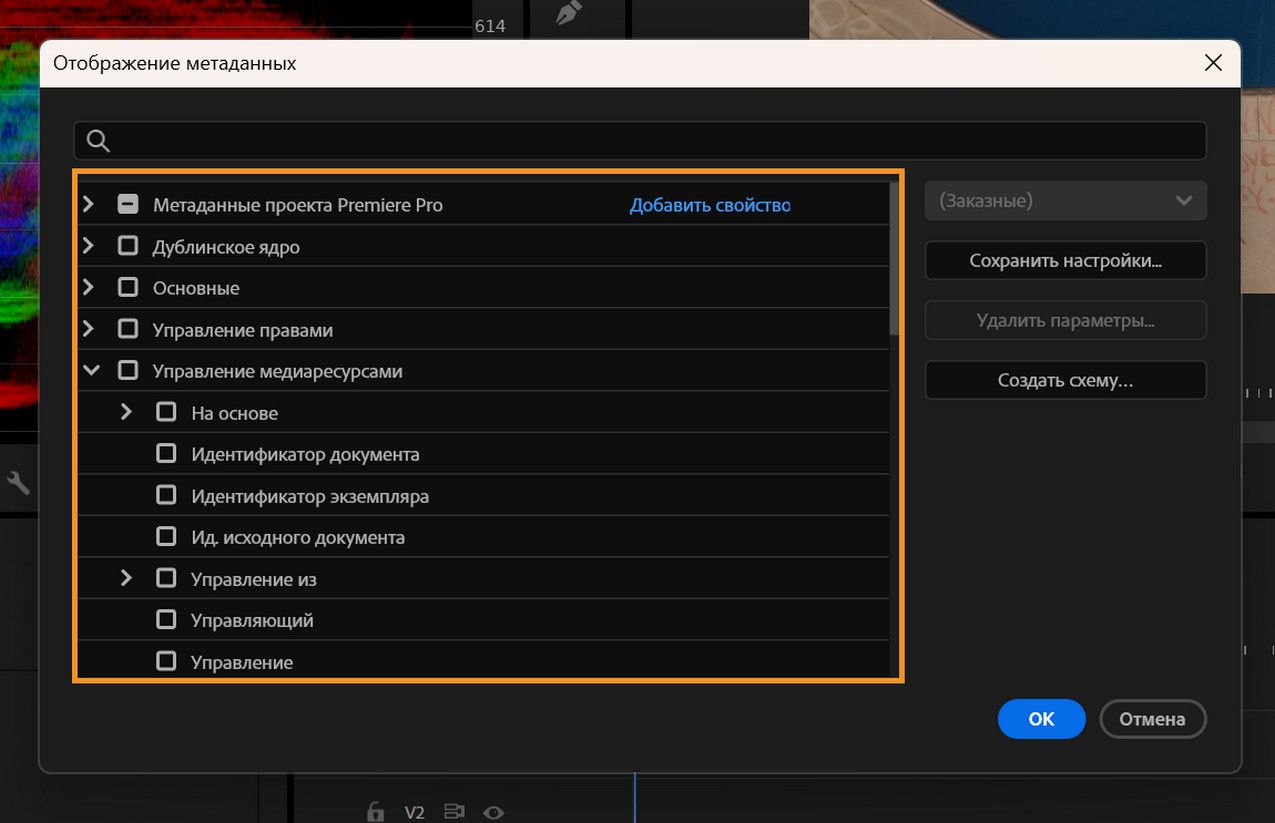 Отображение метаданных показывает различные схемы и столбцы метаданных для настройки столбцов представления списка в панели «Проект».