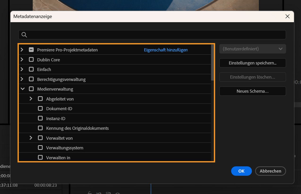 Die Metadatenanzeige zeigt verschiedene Schemata und Metadatenspalten zur Anpassung der Listenansichtsspalten im Bedienfeld „Projekt“.