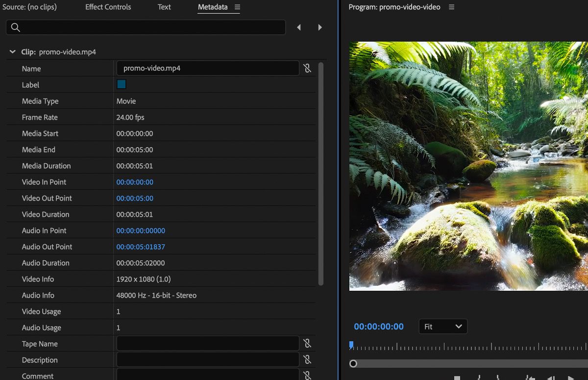 El panel Metadata muestra los detalles de metadatos de los clips combinados.Incluye detalles del clip como nombre, tipo de medios, propiedades del archivo y derechos de autor.