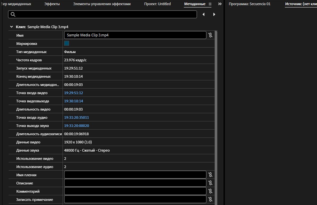 Панель «Метаданные» отображает метаданные объединенных клипов. Они включают такие детали клипа, как имя, тип медиаданных, свойства файла и авторские права.