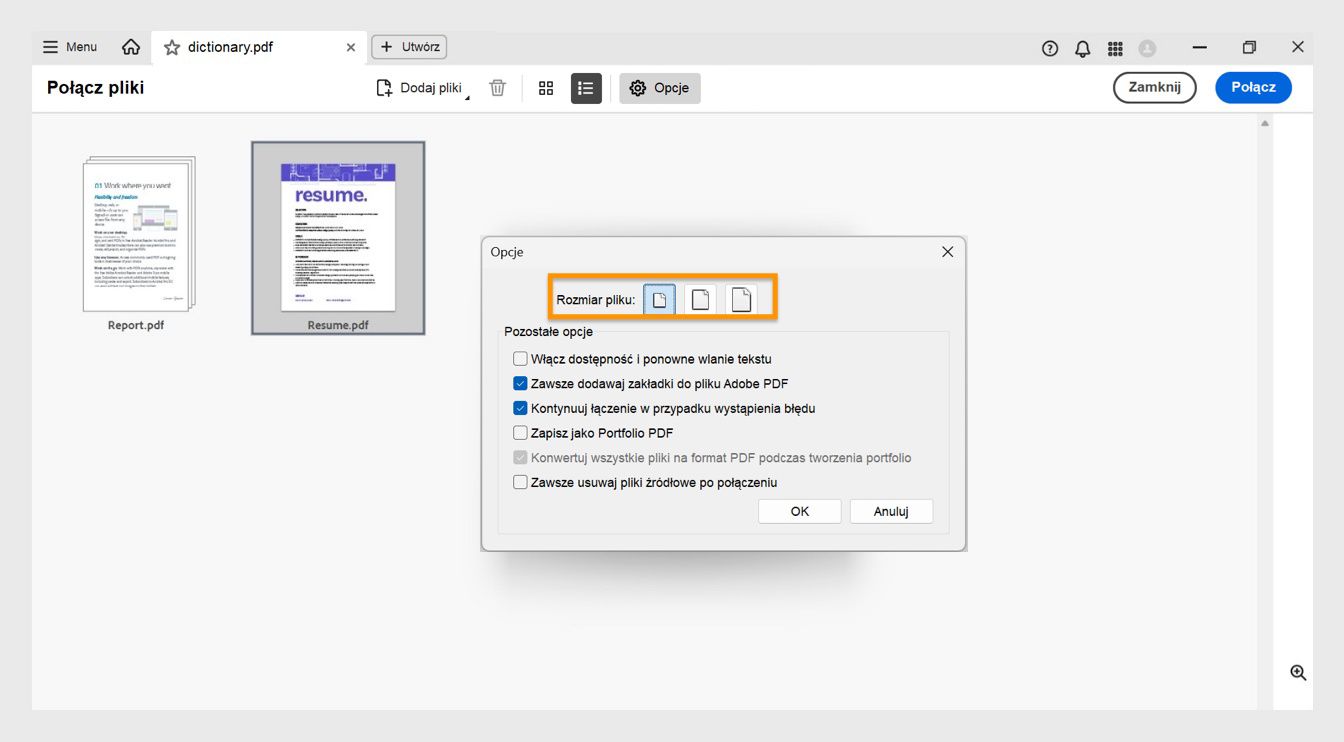 Okno dialogowe Opcje wyświetla różne rozmiary plików wraz z innymi opcjami łączenia, umożliwiającymi dostępność plików, dodawanie zakładek, łączenie z błędami, zapisywanie plików jako portfolio PDF, konwertowanie na PDF podczas tworzenia portfolio PDF oraz usuwanie plików źródłowych po połączeniu.