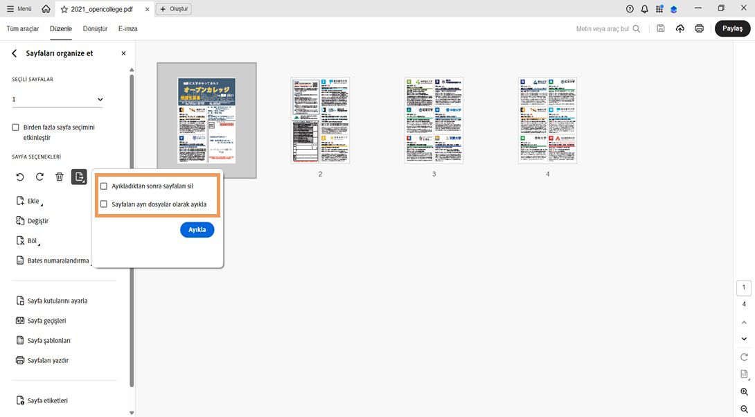 Sayfaları organize et paneli, şu seçenekleri içeren Sayfa çıkar iletişim kutusunu görüntüler: Çıkardıktan sonra sayfaları sil ve Sayfaları ayrı dosyalar olarak çıkar.İşlemi onaylamak için bir Çıkar düğmesi bulunur.