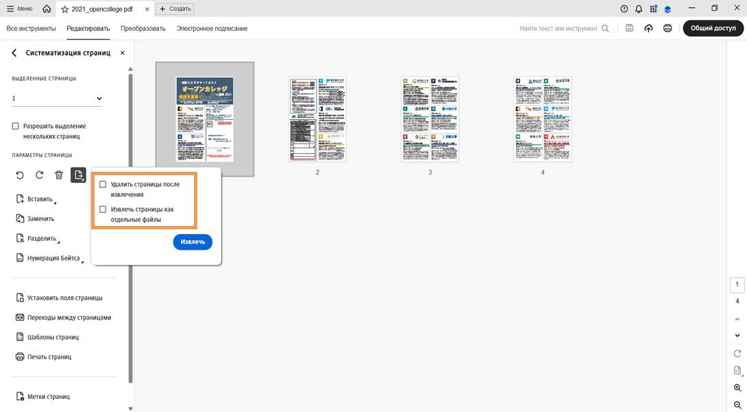 На панели «Систематизация страниц» отображается диалоговое окно «Извлечь страницы» со следующими параметрами: «Удалить страницы после извлечения» и «Извлечь страницы как отдельные файлы». Для подтверждения действия нажмите кнопку «Извлечь».