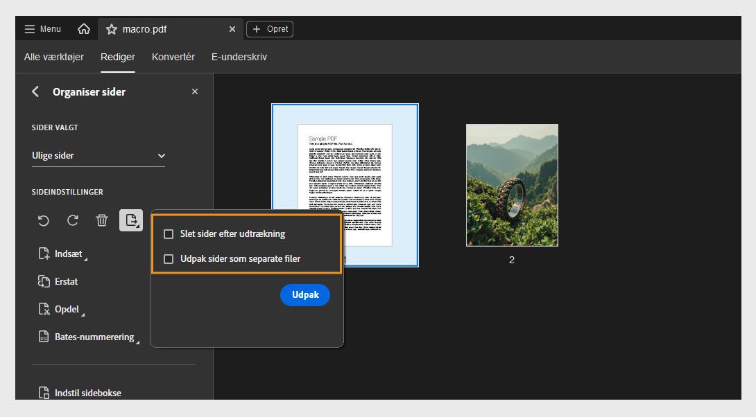 Panelet Organiser sider viser dialogboksen Udtræk side med følgende valgmuligheder: Slet sider efter udtræk og Udtræk sider som separate filer. Knappen Udtræk er til stede for at bekræfte handlingen.