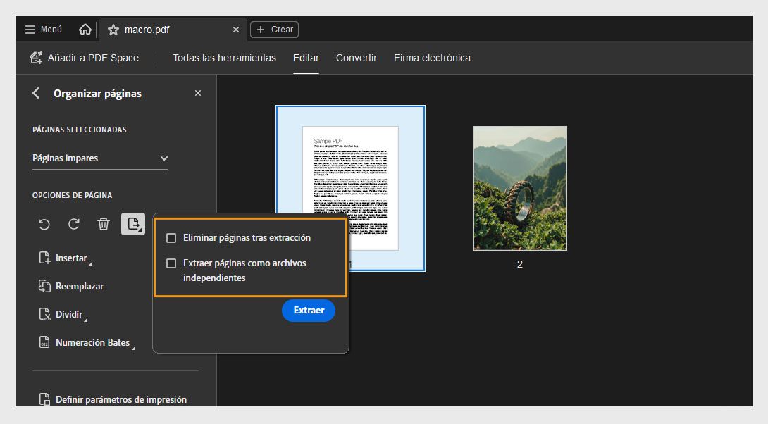 El panel Organizar páginas muestra el cuadro de diálogo Extraer página con las siguientes opciones: Eliminar páginas después de extraerlas y Extraer páginas como archivos separados. Hay un botón Extraer para confirmar la acción.