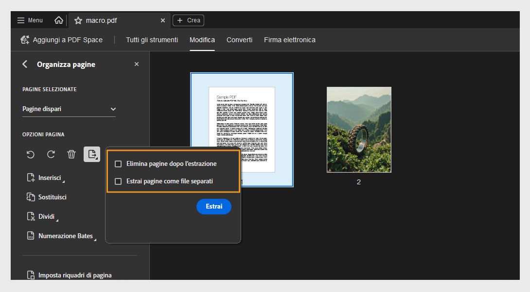 Il pannello Organizza le pagine mostra la finestra di dialogo Estrai pagina con le seguenti opzioni: Elimina pagine dopo l'estrazione ed Estrai pagine come file separati. C'è un pulsante Estrai per confermare l'azione.