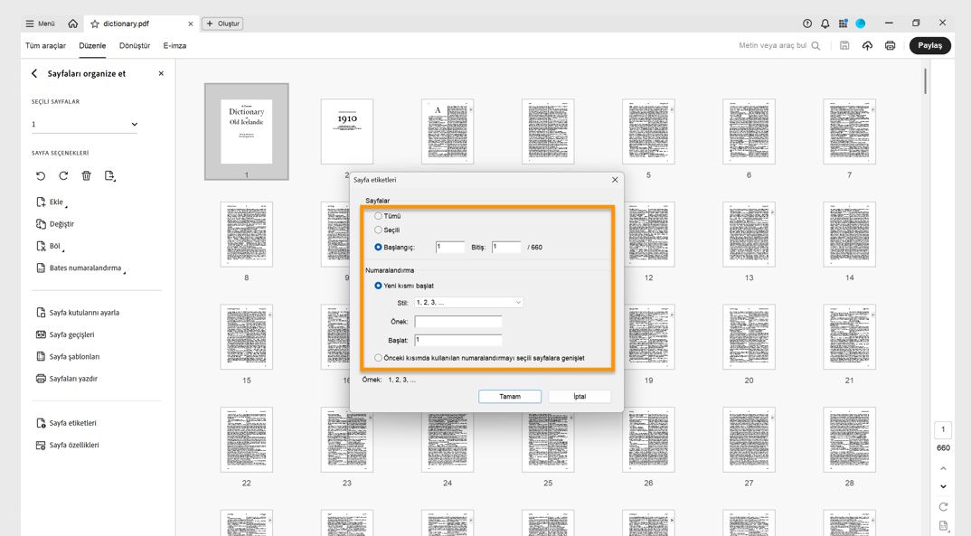 Sayfaları organize et paneli, yeni bir bölüm başlatma veya önceki bölümde kullanılan numaralandırmayı genişletme seçeneklerini içeren Sayfa etiketleri iletişim kutusunu gösterir.