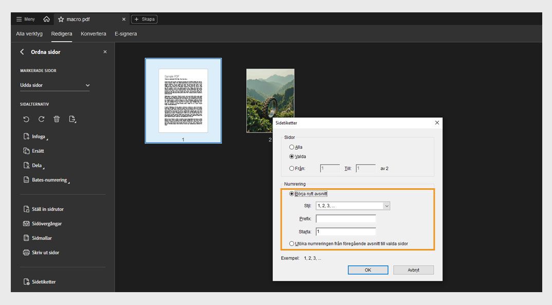 Panelen Ordna sidor visar dialogrutan Sidetiketter med alternativ för att börja ett nytt avsnitt eller utöka numreringen som används i föregående avsnitt.