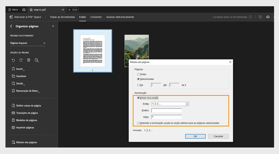 O painel Organizar páginas mostra o diálogo Rótulos de página com opções para iniciar uma nova seção ou estender a numeração usada na seção anterior.