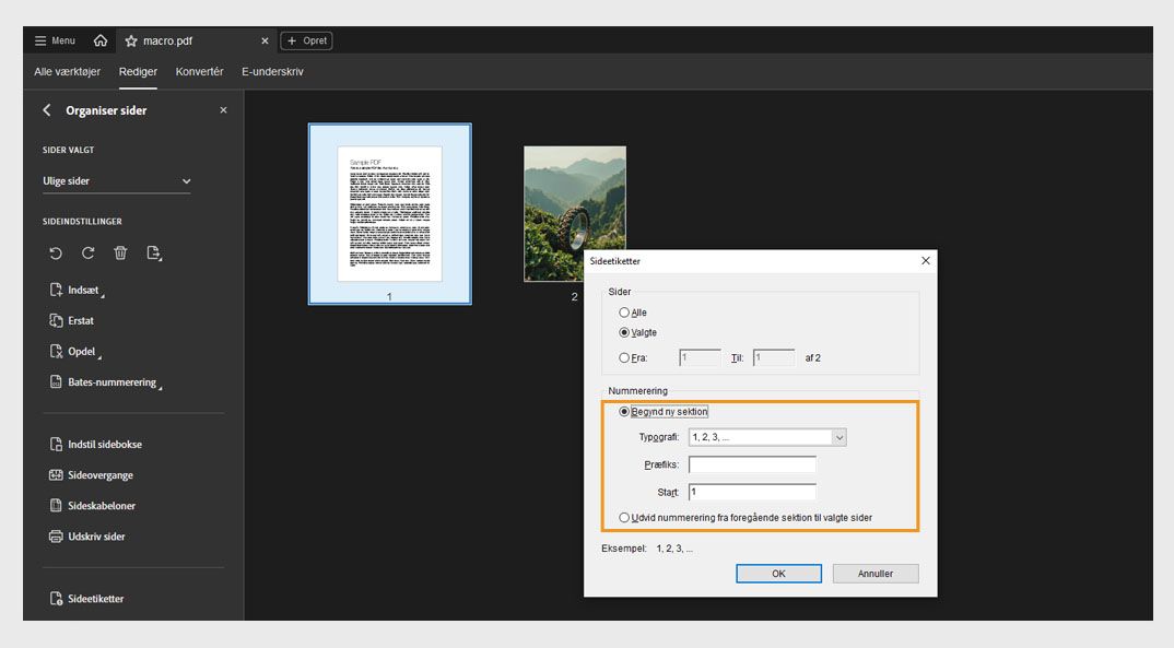 Panelet Organiser sider viser dialogboksen Sideetiketter med indstillingen til at begynde et nyt afsnit eller udvide nummereringen, der bruges i det foregående afsnit.