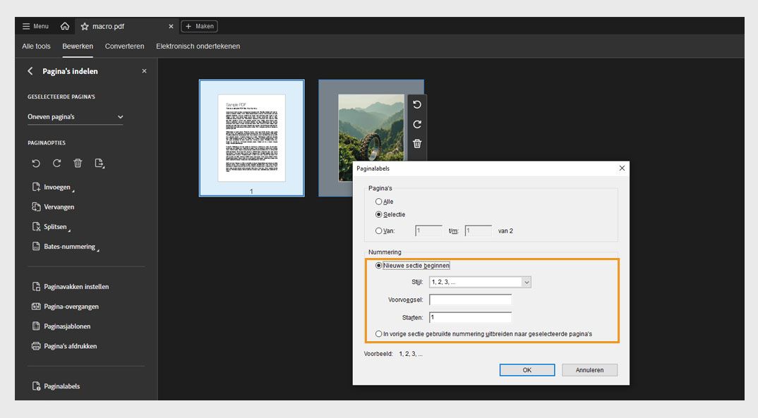 Het paneel Pagina's indelen toont het dialoogvenster Paginalabels met opties om een nieuwe sectie te beginnen of de nummering uit de voorgaande sectie uit te breiden.